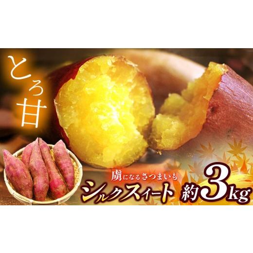 ふるさと納税 野菜類 サツマイモ 奈良県 御杖村 御杖村産虜になるサツマイモ(シルクスイート) 約3kg | さつまいも シルクスイート 自然の恵み 有機質肥料 奈良…