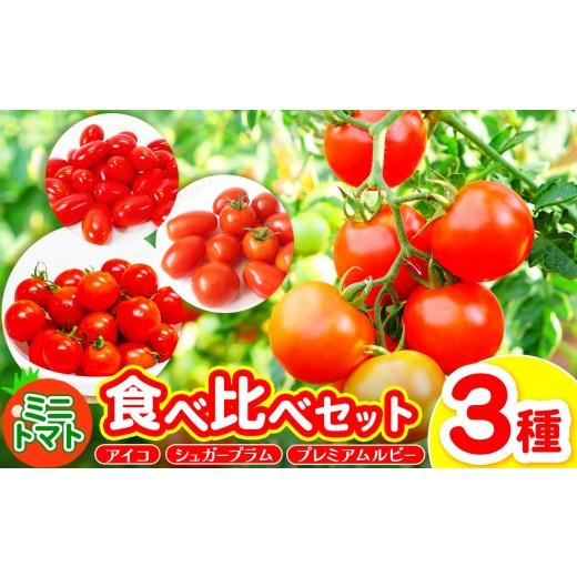 ふるさと納税 トマト ミニトマト 奈良県 御杖村 御杖村産 ミニトマト食べ比べセット(3種) | ミニトマト セット アイコ シュガープラム プレミアムルビー 野菜 …