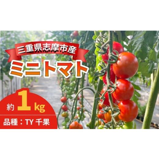 ふるさと納税 トマト ミニトマト 三重県 志摩市 ミニトマト 約 1kg 国産 トマト 野菜 国産 サラダ パスタ 新鮮 産地直送 三重県 伊勢 志摩市 TY千果 約1kg 寄…