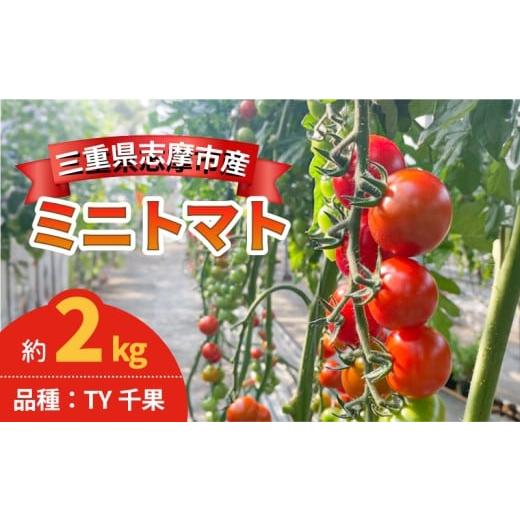 ふるさと納税 トマト ミニトマト 三重県 志摩市 ミニトマト 約 2kg 選べる容量 国産 トマト 野菜 国産 サラダ パスタ 新鮮 産地直送 三重県 伊勢 志摩市 TY千…