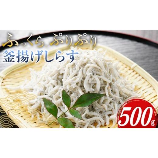 ふるさと納税 しらす・ちりめん 和歌山県 那智勝浦町 ふっくら、ぷりぷり 釜揚げしらす 500g 500g 5,000円