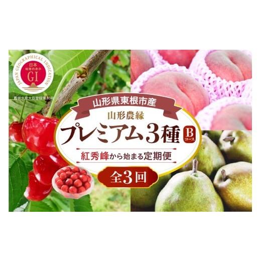 ふるさと納税 果物類 さくらんぼ 山形県 東根市 2026年 3回定期便 山形農縁プレミアム3種B 〜さくらんぼ紅秀峰から始まる〜 千笑花夢提供 山形県 東根市 hi08…