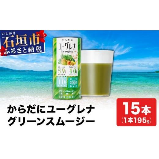 ふるさと納税 飲料類 沖縄県 石垣市 からだにユーグレナ グリーンスムージー乳酸菌 (195g×15本) | ユーグレナ スムージー 健康飲料 乳酸菌飲料 健康 栄養 栄…