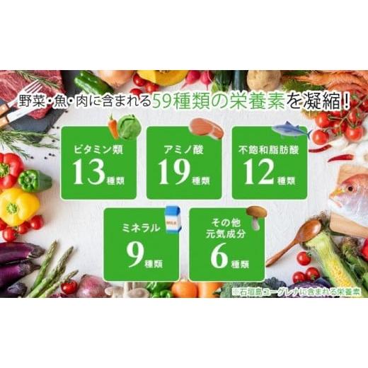 ふるさと納税 飲料類 沖縄県 石垣市  定期便 《3ヶ月》からだにユーグレナ グリーンスムージー乳酸菌 (195g×15本×3回) | ユーグレナ スムージー 健康飲料 乳…_6