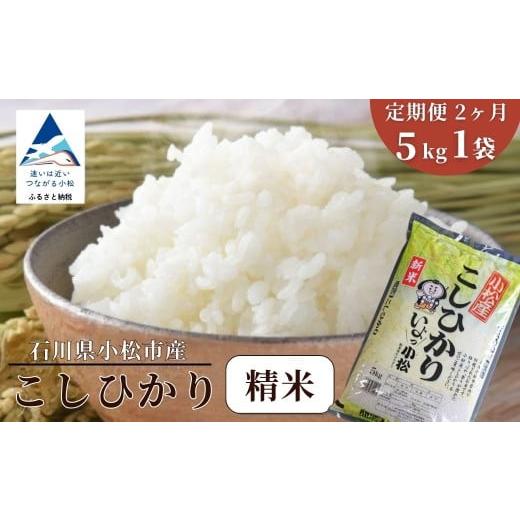 ふるさと納税 米 コシヒカリ 石川県 小松市 先行予約 定期便 令和8年産 小松市産 こしひかり 精米 5kg×2ヶ月(毎月)お米 おこめ 白米 こしひかり 石川県 小…
