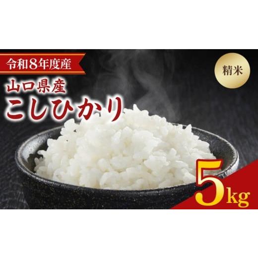 ふるさと納税 米 コシヒカリ 山口県 下関市 先行予約 令和8年度産 こしひかり 5kg 山口県 下関市産 精米 白米 こめ コメ お米 ご飯 ごはん 下関 山口 2026年9…