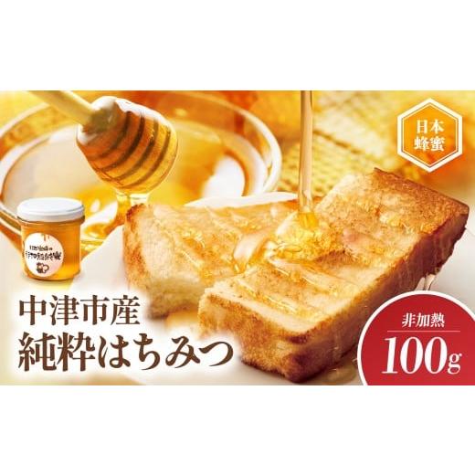 ふるさと納税 加工品等 はちみつ 大分県 中津市 中津市産 日本蜜蜂の非加熱純蜜 100g | 国産 日本 蜂蜜 非加熱 はちみつ ハチミツ 大分県 中津市