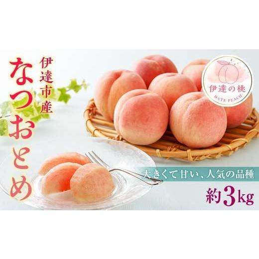 ふるさと納税 もも 福島県 伊達市 2026年出荷分先行予約 <冷蔵配送>福島県産 なつおとめ 約3kg (9〜16玉) 有限会社伊達水蜜園 新品種 大玉 伊達の桃 桃…