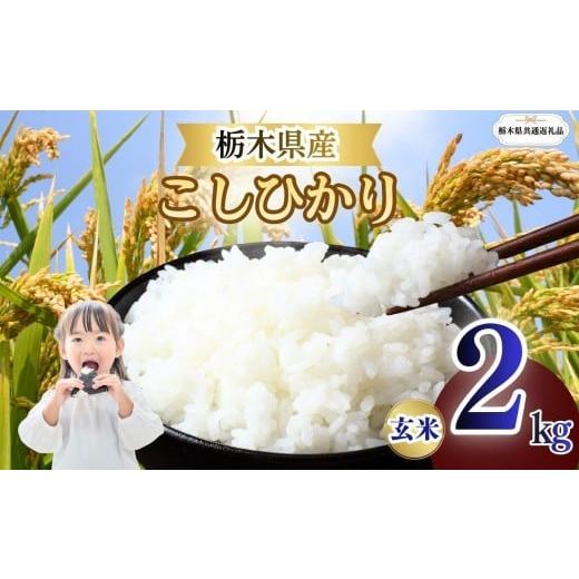 ふるさと納税 玄米 栃木県 矢板市 こしひかり 玄米 2kg | 栃木県 矢板市