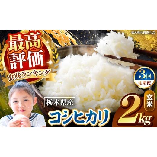 ふるさと納税 玄米 栃木県 矢板市 定期便3回 栃木県産 こしひかり 玄米 2kg 2026年 先行予約 | 栃木県 矢板市 3回 こしひかり 2kg | 15000円