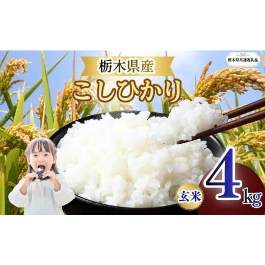 ふるさと納税 米 コシヒカリ 栃木県 矢板市 こしひかり 玄米 4kg | 栃木県 矢板市