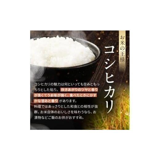 ふるさと納税 玄米 栃木県 矢板市 定期便6回 栃木県産 こしひかり 玄米 4kg 2026年 先行予約 | 栃木県 矢板市 6回 こしひかり 4kg | 56400円