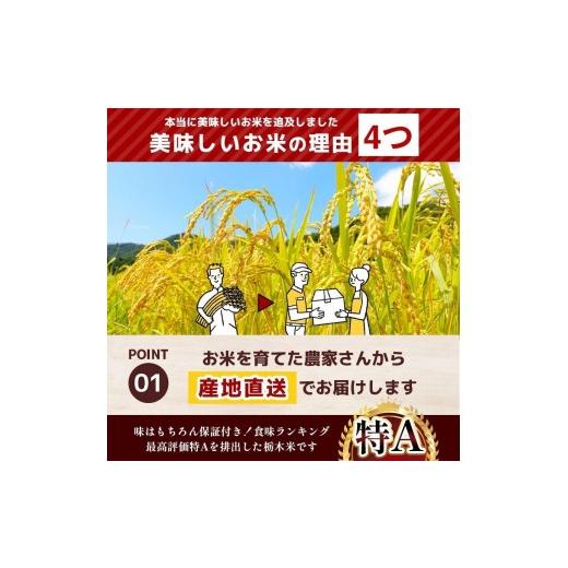 ふるさと納税 玄米 栃木県 矢板市 定期便6回 栃木県産 こしひかり 玄米 4kg 2026年 先行予約 | 栃木県 矢板市 6回 こしひかり 4kg | 56400円