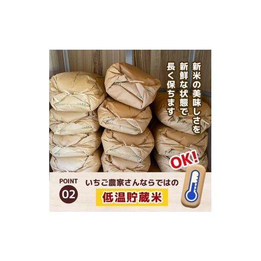 ふるさと納税 玄米 栃木県 矢板市 定期便6回 栃木県産 こしひかり 玄米 4kg 2026年 先行予約 | 栃木県 矢板市 6回 こしひかり 4kg | 56400円