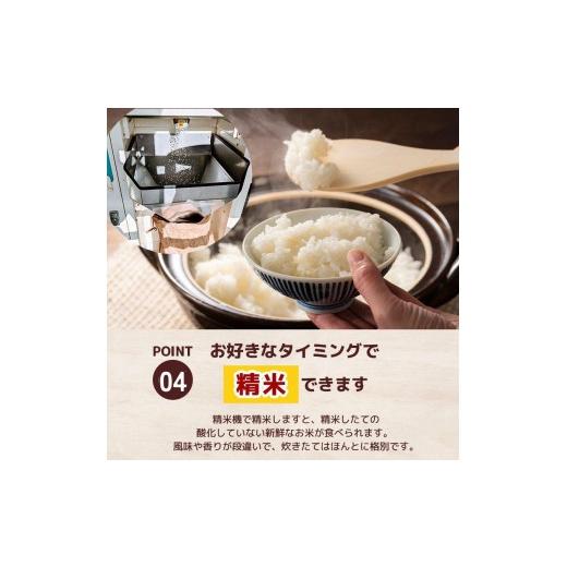 ふるさと納税 玄米 栃木県 矢板市 定期便6回 栃木県産 こしひかり 玄米 4kg 2026年 先行予約 | 栃木県 矢板市 6回 こしひかり 4kg | 56400円