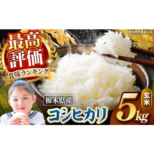 ふるさと納税 玄米 栃木県 矢板市 栃木県産 こしひかり 玄米 5kg 2026年 先行予約 | 栃木県 矢板市 こしひかり 5kg | 11600円