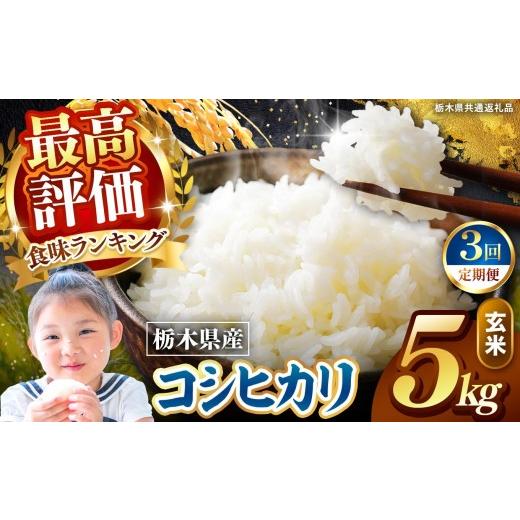 ふるさと納税 玄米 栃木県 矢板市 定期便3回 栃木県産 こしひかり 玄米 5kg 2026年 先行予約 | 栃木県 矢板市 3回 こしひかり 5kg | 34800円