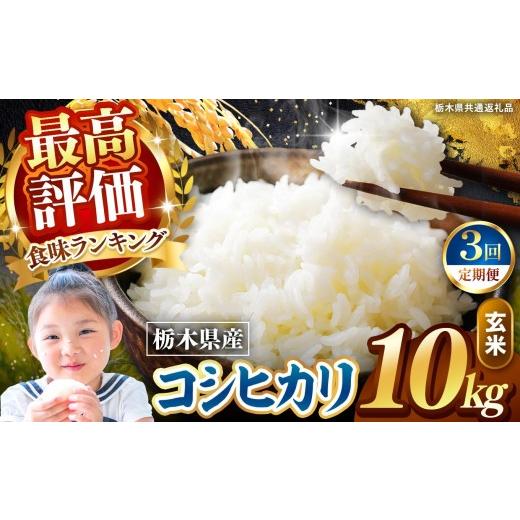 ふるさと納税 玄米 栃木県 矢板市 定期便3回 栃木県産 こしひかり 玄米 10kg 2026年 先行予約 | 栃木県 矢板市 3回 こしひかり 10kg | 64800円