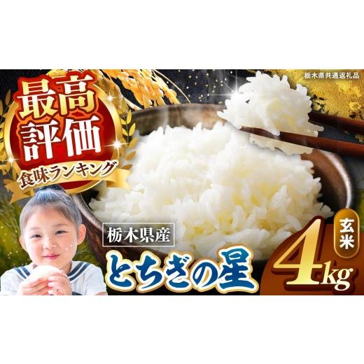 ふるさと納税 玄米 栃木県 矢板市 栃木県産 とちぎの星 玄米 4kg 2026年 先行予約 | 栃木県 矢板市 とちぎの星 4kg | 9400円