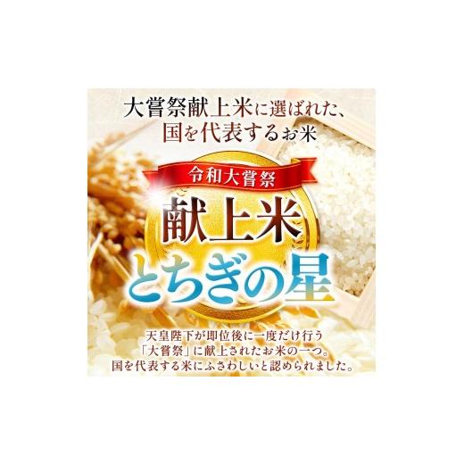 ふるさと納税 玄米 栃木県 矢板市 定期便6回 栃木県産 とちぎの星 玄米 4kg 2026年 先行予約 | 栃木県 矢板市 6回 とちぎの星 4kg | 56400円