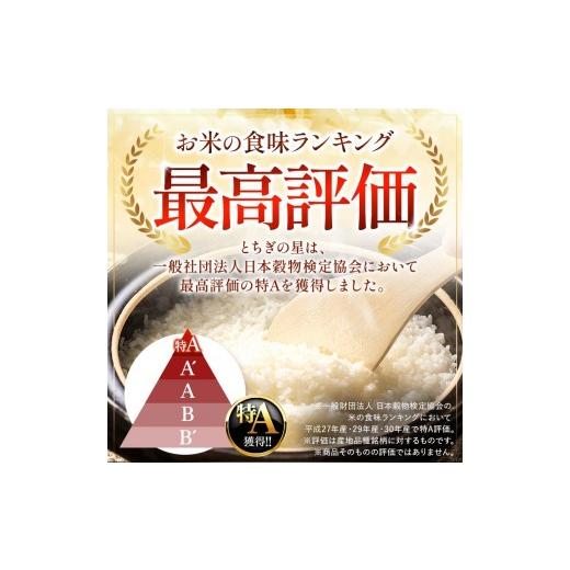 ふるさと納税 玄米 栃木県 矢板市 定期便6回 栃木県産 とちぎの星 玄米 4kg 2026年 先行予約 | 栃木県 矢板市 6回 とちぎの星 4kg | 56400円