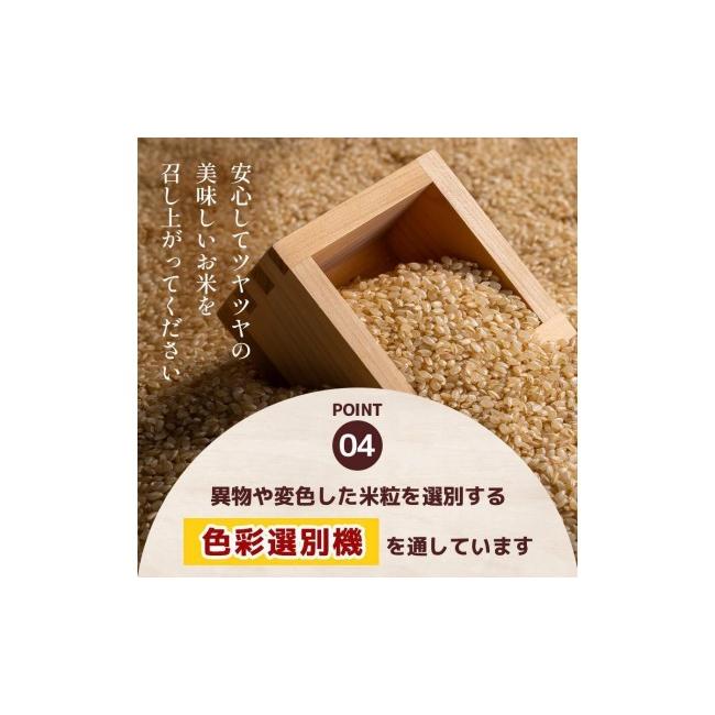 ふるさと納税 玄米 栃木県 矢板市 定期便6回 栃木県産 とちぎの星 玄米 4kg 2026年 先行予約 | 栃木県 矢板市 6回 とちぎの星 4kg | 56400円