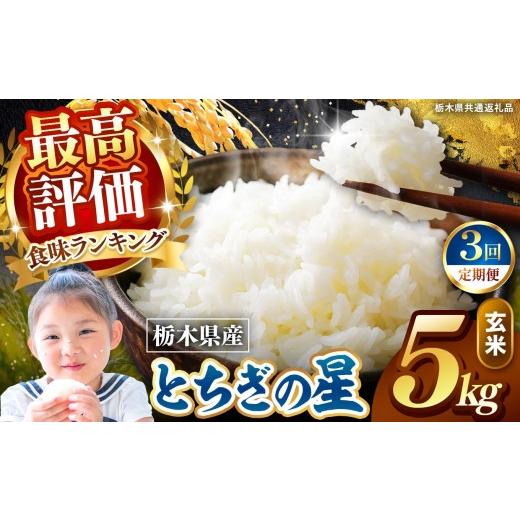 ふるさと納税 米 コシヒカリ 栃木県 矢板市 定期便3回 栃木県産 とちぎの星 玄米 5kg 2026年 先行予約 | 栃木県 矢板市 3回 とちぎの星 5kg | 34800円