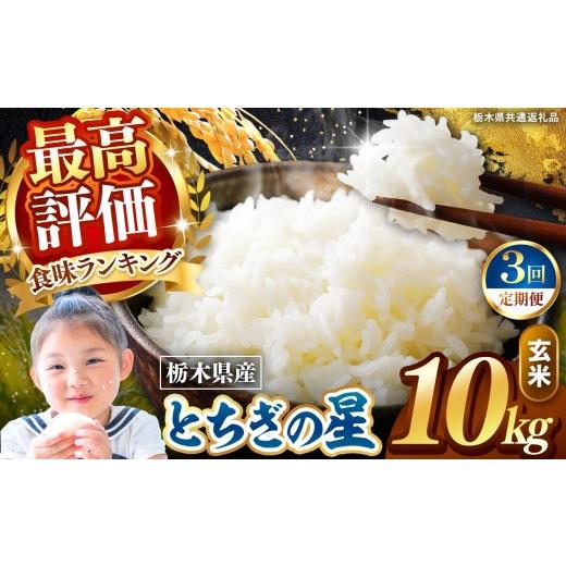 ふるさと納税 米 コシヒカリ 栃木県 矢板市 定期便3回 栃木県産 とちぎの星 玄米 10kg 2026年 先行予約 | 栃木県 矢板市 3回 とちぎの星 10kg | 64800円