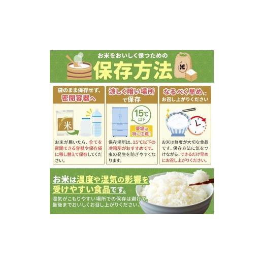 ふるさと納税 米 コシヒカリ 栃木県 矢板市  定期便3回 栃木県産 とちぎの星 玄米 10kg 2026年 先行予約 | 栃木県 矢板市 3回 とちぎの星 10kg | 64800円_5