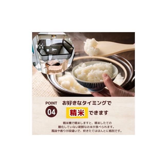ふるさと納税 米 コシヒカリ 栃木県 矢板市  定期便3回 栃木県産 とちぎの星 玄米 10kg 2026年 先行予約 | 栃木県 矢板市 3回 とちぎの星 10kg | 64800円_9