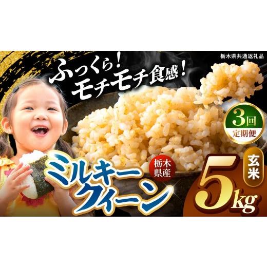 ふるさと納税 米 コシヒカリ 栃木県 矢板市 定期便3回 栃木県産 ミルキークイーン 玄米 5kg 2026年 先行予約 | 栃木県 矢板市 3回 玄米 5kg | 34800円
