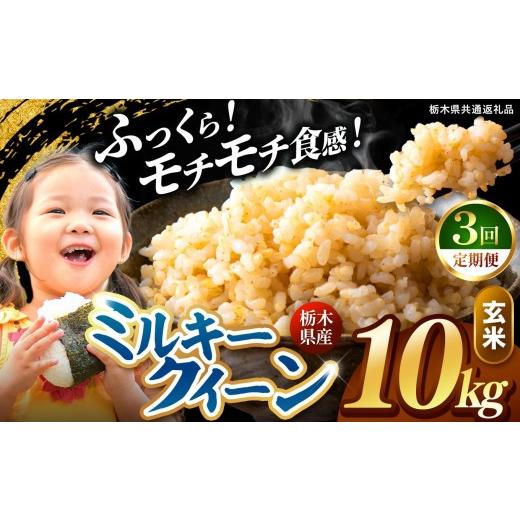 ふるさと納税 米 コシヒカリ 栃木県 矢板市 定期便3回 栃木県産 ミルキークイーン 玄米 10kg 2026年 先行予約 | 栃木県 矢板市 3回 玄米 10kg | 64800円
