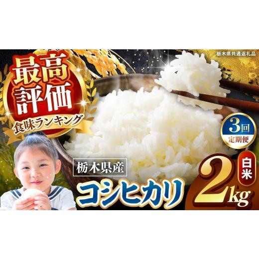 ふるさと納税 米 コシヒカリ 栃木県 矢板市 定期便3回 栃木県産 こしひかり 白米 2kg 2026年 先行予約 | 栃木県 矢板市 3回 こしひかり 2kg | 16200円