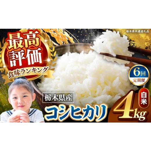 ふるさと納税 米 コシヒカリ 栃木県 矢板市 栃木県産 こしひかり 白米 4kg 2026年 先行予約 | 栃木県 矢板市 こしひかり 4kg | 10600円