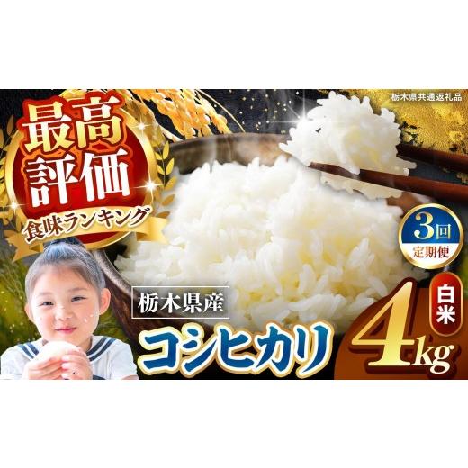 ふるさと納税 米 コシヒカリ 栃木県 矢板市 定期便3回 栃木県産 こしひかり 白米 4kg 2026年 先行予約 | 栃木県 矢板市 3回 こしひかり 4kg |31800円
