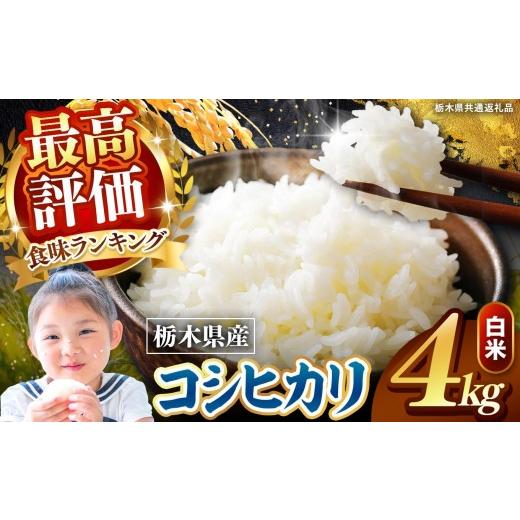 ふるさと納税 米 コシヒカリ 栃木県 矢板市 定期便6回 栃木県産 こしひかり 白米 4kg 2026年 先行予約 | 栃木県 矢板市 6回 こしひかり 4kg | 63600円