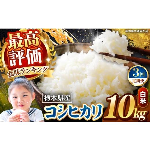 ふるさと納税 米 コシヒカリ 栃木県 矢板市 定期便3回 栃木県産 こしひかり 白米 10kg 2026年 先行予約 | 栃木県 矢板市 3回 こしひかり 10kg | 67800円