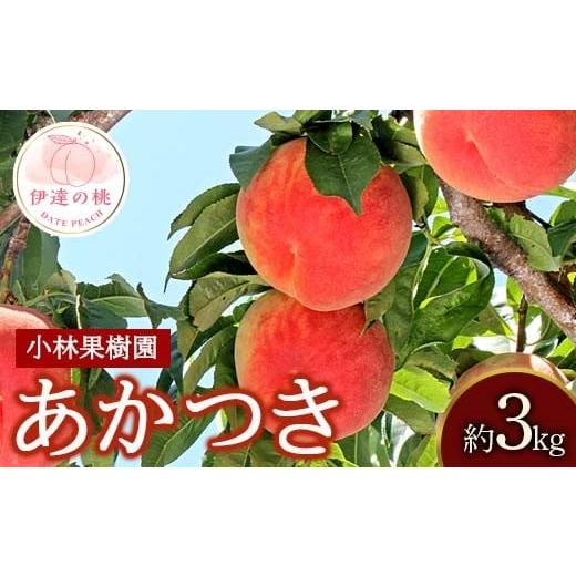 ふるさと納税 もも 福島県 伊達市 2026年出荷分先行予約 <冷蔵配送>福島県産 あかつき 約3kg (9〜12玉) 小林果樹園 伊達の桃 桃 フルーツ 果物 もも モ…