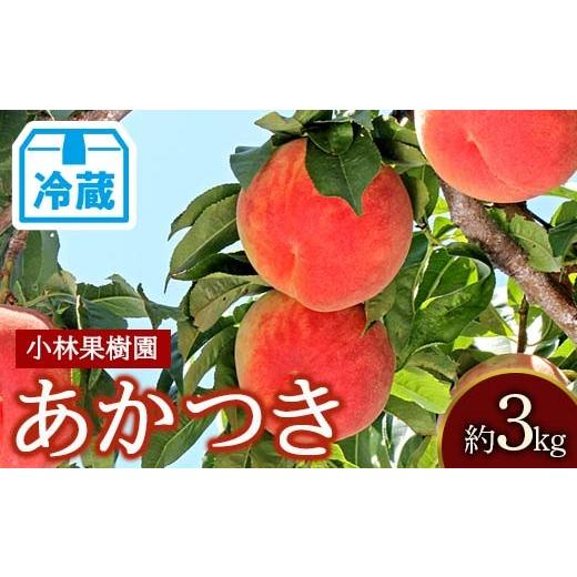 ふるさと納税 もも 福島県 伊達市  2026年出荷分先行予約 <冷蔵配送>福島県産 あかつき 約3kg (9〜12玉) 小林果樹園 伊達の桃 桃 フルーツ 果物 もも モ…の画像