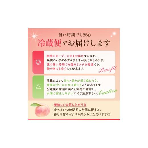 ふるさと納税 もも 福島県 伊達市  2026年出荷分先行予約 <冷蔵配送>福島県産 あかつき 約3kg (9〜12玉) 小林果樹園 伊達の桃 桃 フルーツ 果物 もも モ…の画像