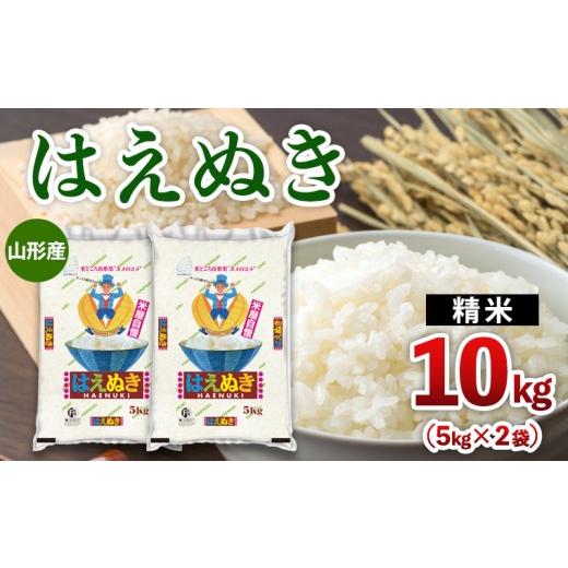 ふるさと納税 米 はえぬき 山形県 山形市 山形産 はえぬき 10kg(5kg×2) FZ26-773