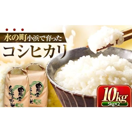 ふるさと納税 米 コシヒカリ 福井県 小浜市 小浜のコシヒカリ 10kg(5kg×2袋)/ 白米 精米 国産米 福井県 小浜市 / 市左ヱ門米屋