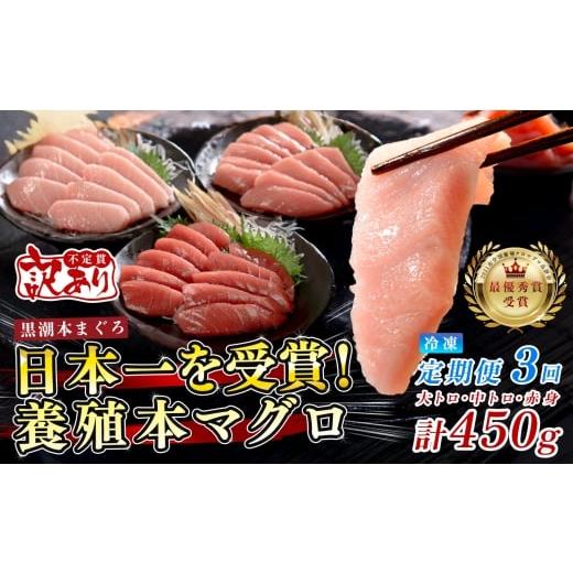ふるさと納税 マグロ 高知県 大月町 訳あり まぐろ マグロ 本鮪 黒潮本まぐろ 赤身 中トロ 大トロ 定期便 3回 計450g × 3回 刺身 さしみ 最優秀賞 全国養殖ク…
