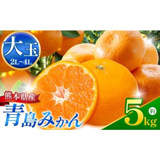 ふるさと納税 みかん・柑橘類 熊本県 玉名市 こだわり栽培 青島みかん (2L〜4L) 約5kg iFARM 岩城農園 | フルーツ 果物 くだもの 柑橘 みかん ミカン オレンジ…