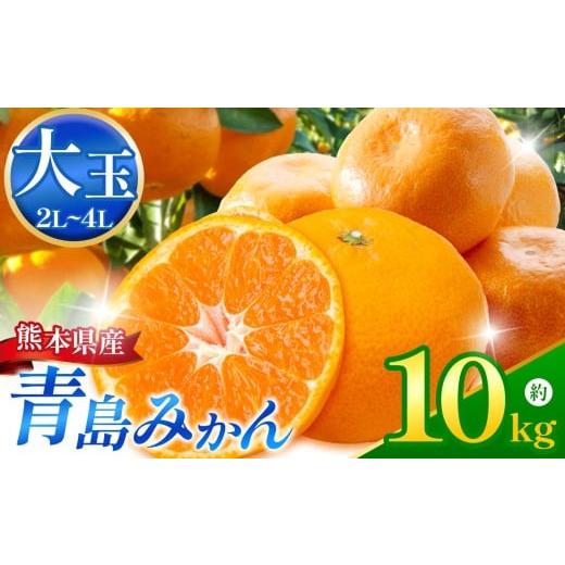 ふるさと納税 みかん・柑橘類 熊本県 玉名市 こだわり栽培 青島みかん (2L〜4L) 約10kg iFARM 岩城農園 | フルーツ 果物 くだもの 柑橘 みかん ミカン オレン…