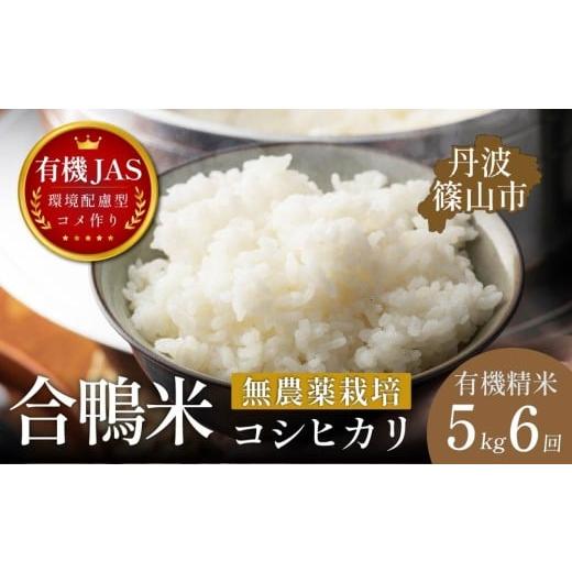 ふるさと納税 米 コシヒカリ 兵庫県 丹波篠山市 定期便 有機JAS認証 兵庫県丹波篠山産 コシヒカリ 精米[合鴨農法・無農薬・無化学肥料]5kg × 6回 伝田農産…