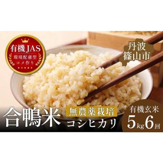 ふるさと納税 米 コシヒカリ 兵庫県 丹波篠山市 定期便 有機JAS認証 兵庫県丹波篠山産 コシヒカリ 玄米[合鴨農法・無農薬・無化学肥料]5kg× 6回 伝田農産…