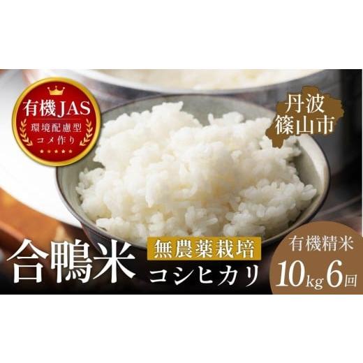 ふるさと納税 米 コシヒカリ 兵庫県 丹波篠山市 定期便 有機JAS認証 兵庫県丹波篠山産 コシヒカリ 精米[合鴨農法・無農薬・無化学肥料]10kg × 6回 伝田農…