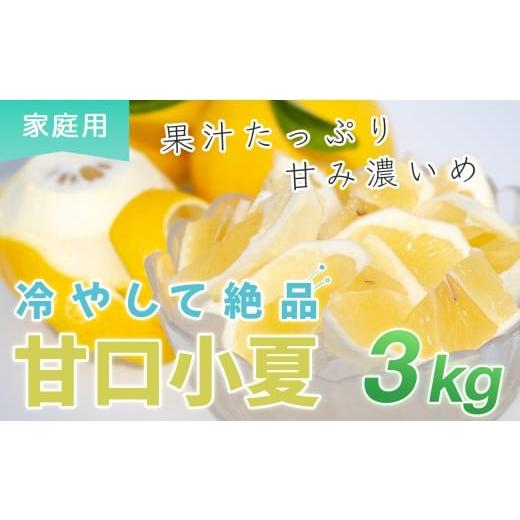 ふるさと納税 みかん・柑橘類 高知県 大月町 甘口 小夏 3kg 家庭用 日向夏 ニューサマーオレンジ 柑橘 みかん ノーワックス こなつ くだもの 果物 産直 旬の果…