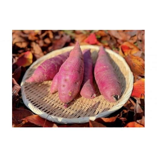 ふるさと納税 野菜類 サツマイモ 富山県 南砺市 安納芋 5kg 富山県